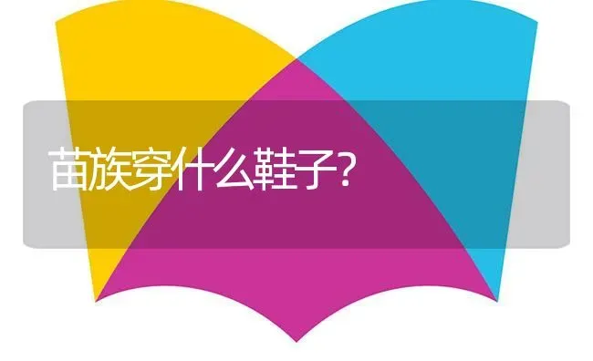 苗族穿什么鞋子？ | 鱼类宠物饲养