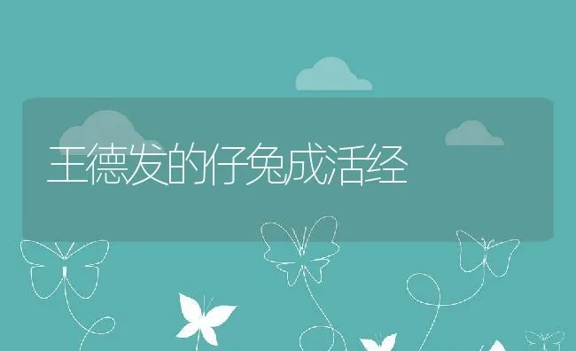 王德发的仔兔成活经 | 动物养殖学堂