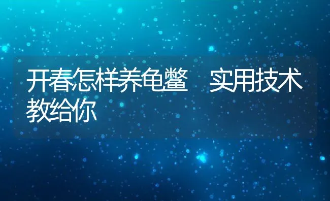 开春怎样养龟鳖 实用技术教给你 | 动物养殖饲料