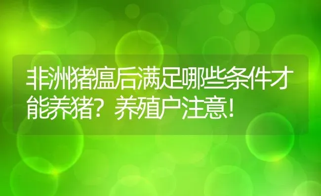 非洲猪瘟后满足哪些条件才能养猪？养殖户注意！ | 动物养殖教程