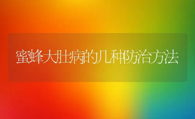 蜜蜂大肚病的几种防治方法 | 动物养殖学堂