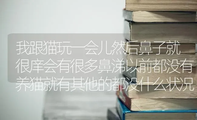 我跟猫玩一会儿然后鼻子就很庠会有很多鼻涕以前都没有养猫就有其他的都没什么状况就鼻子痒是不是猫过敏？ | 动物养殖问答