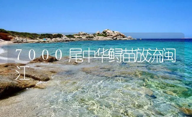 7000尾中华鲟苗放流闽江 | 海水养殖技术