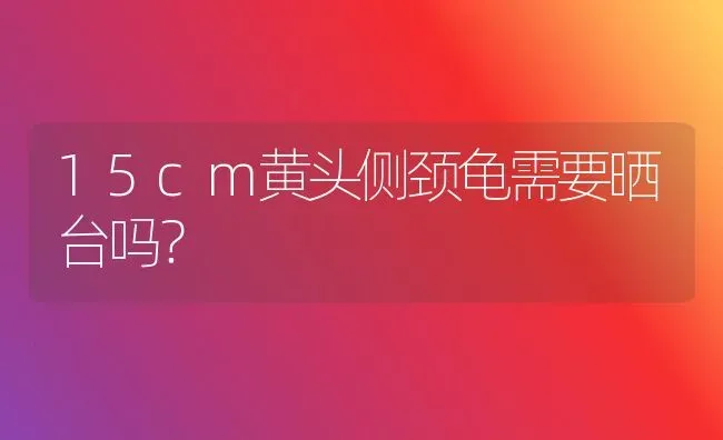 小猫出生几天过危险期？ | 动物养殖问答