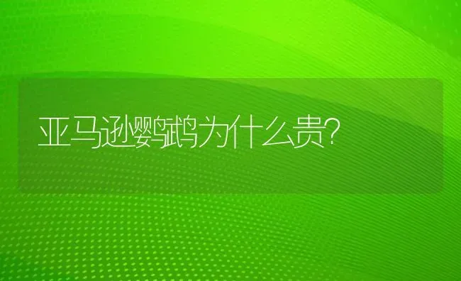 亚马逊鹦鹉为什么贵？ | 动物养殖问答