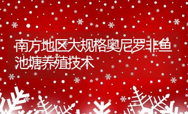 南方地区大规格奥尼罗非鱼池塘养殖技术 | 动物养殖饲料