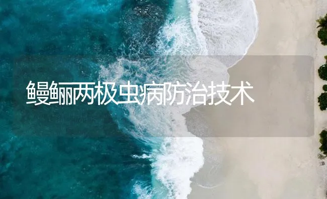 鳗鲡两极虫病防治技术 | 海水养殖技术