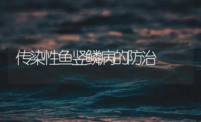 传染性鱼竖鳞病的防治 | 海水养殖技术