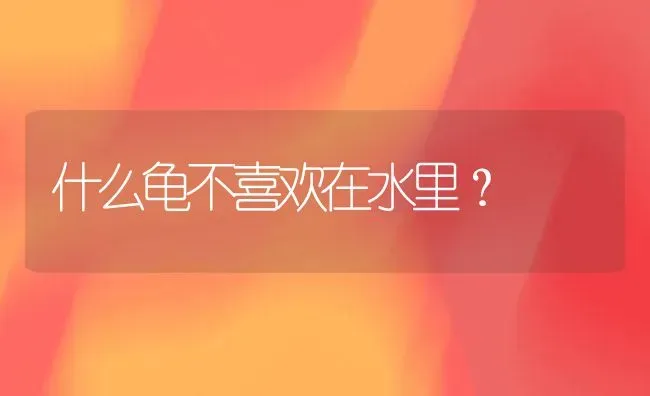 养殖石金钱龟水位过高会怎么样？ | 动物养殖问答