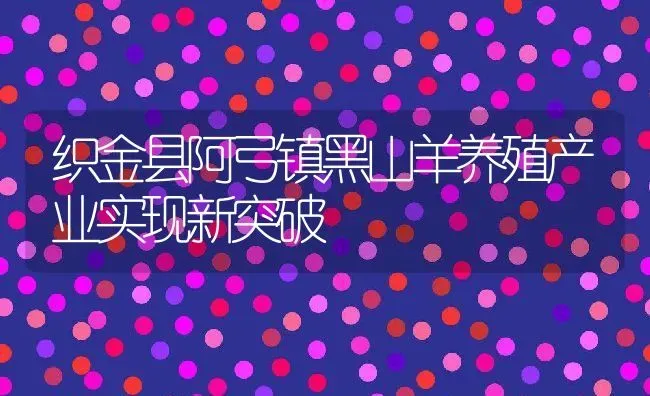 织金县阿弓镇黑山羊养殖产业实现新突破 | 动物养殖教程