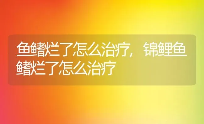 鱼鳍烂了怎么治疗,锦鲤鱼鳍烂了怎么治疗 | 宠物百科知识