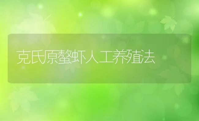 克氏原螯虾人工养殖法 | 动物养殖饲料