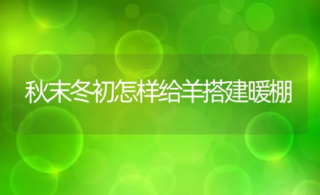 秋末冬初怎样给羊搭建暖棚 | 动物养殖饲料