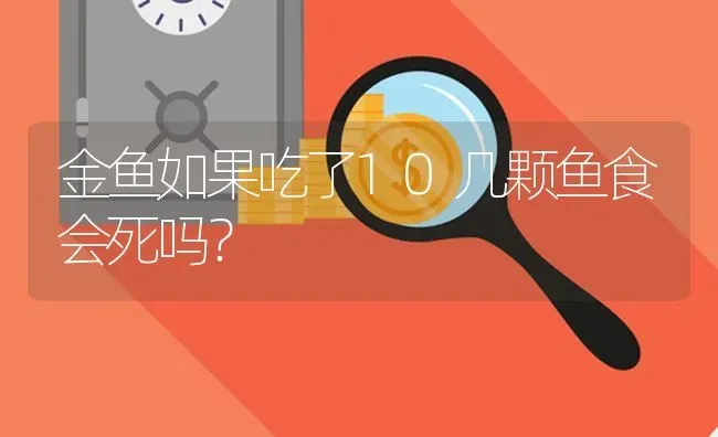 招财鱼,鹦鹉鱼,三湖慈鲷鱼可以混养吗？ | 鱼类宠物饲养