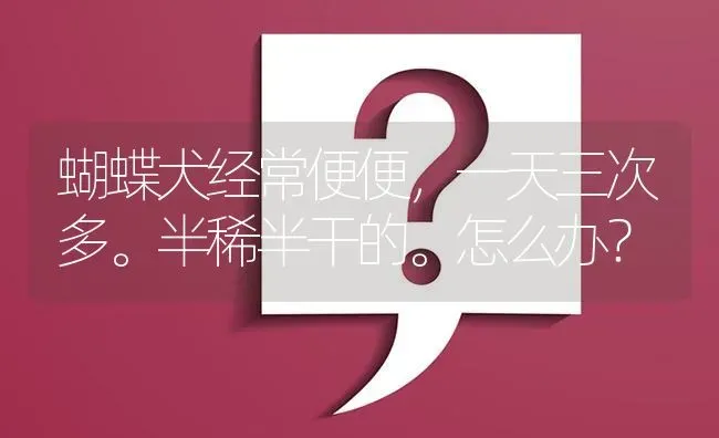 蝴蝶犬经常便便，一天三次多。半稀半干的。怎么办？ | 动物养殖问答