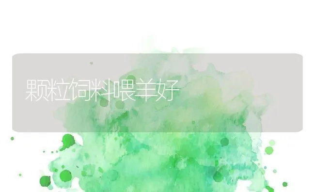 解决水产养殖实际问题 山东禹城确保渔业科技入户出成效 | 动物养殖饲料