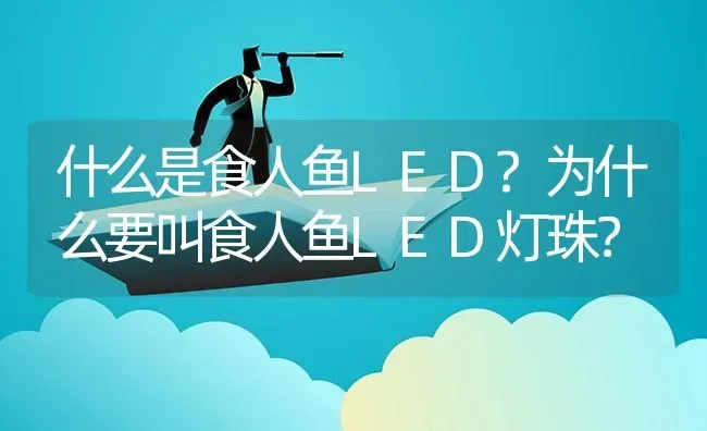 什么是食人鱼LED?为什么要叫食人鱼LED灯珠？ | 鱼类宠物饲养