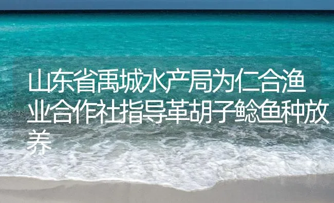 山东省禹城水产局为仁合渔业合作社指导革胡子鲶鱼种放养 | 海水养殖技术