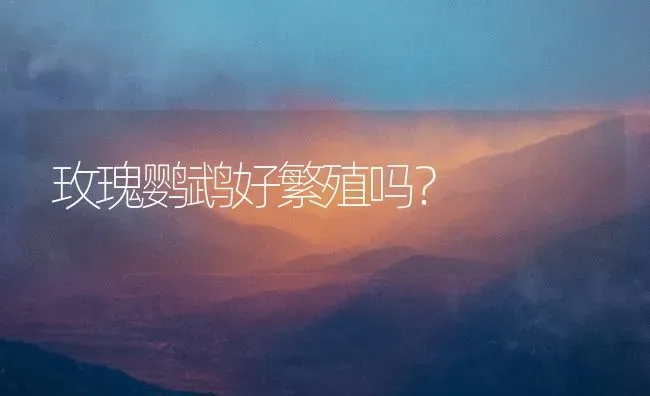 玫瑰鹦鹉好繁殖吗？ | 动物养殖问答