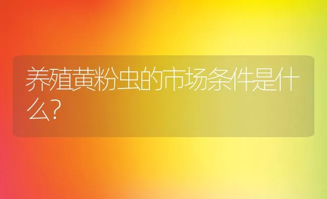 养殖黄粉虫的市场条件是什么？ | 水产养殖知识