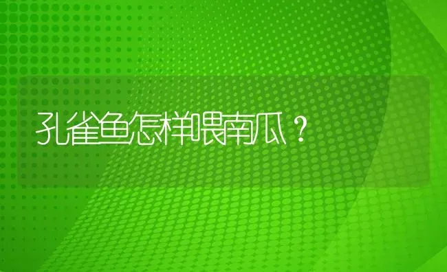 孔雀鱼怎样喂南瓜？ | 鱼类宠物饲养