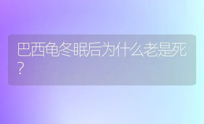 巴西龟冬眠后为什么老是死？ | 动物养殖问答