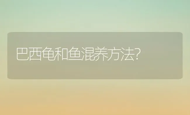 巴西龟和鱼混养方法？ | 动物养殖问答