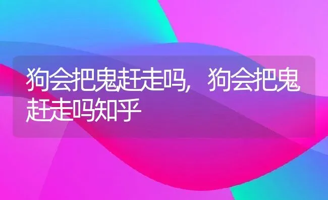 狗会把鬼赶走吗,狗会把鬼赶走吗知乎 | 宠物百科知识