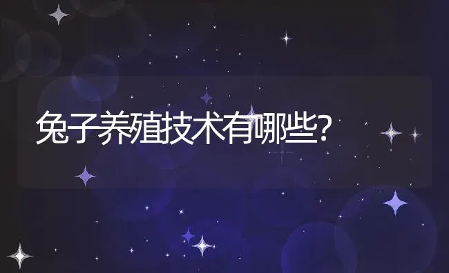 兔子养殖技术有哪些？ | 动物养殖百科