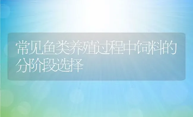 常见鱼类养殖过程中饲料的分阶段选择 | 动物养殖百科