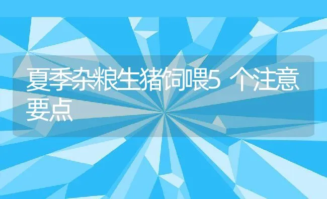 夏季杂粮生猪饲喂5个注意要点 | 动物养殖饲料