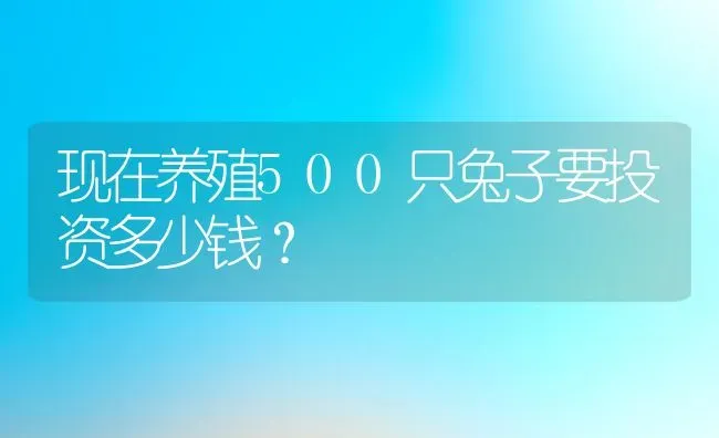 现在养殖500只兔子要投资多少钱？ | 动物养殖百科