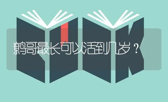 鹩哥最长可以活到几岁？ | 动物养殖问答