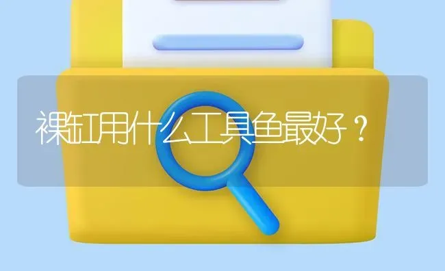 裸缸用什么工具鱼最好？ | 鱼类宠物饲养