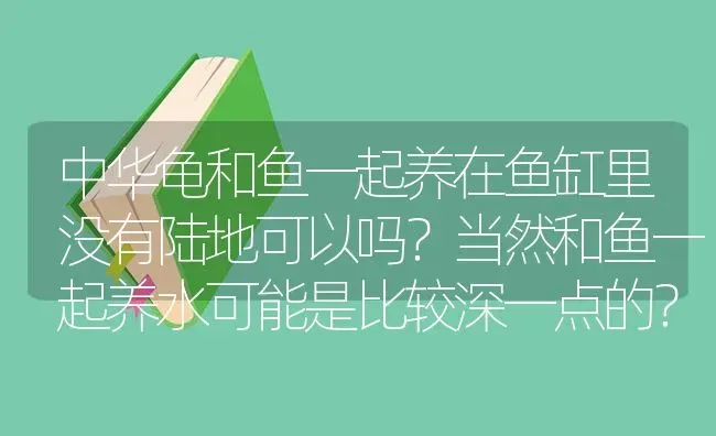 中华龟和鱼一起养在鱼缸里没有陆地可以吗？当然和鱼一起养水可能是比较深一点的？ | 鱼类宠物饲养