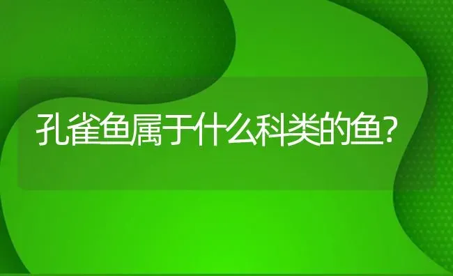 孔雀鱼属于什么科类的鱼？ | 鱼类宠物饲养