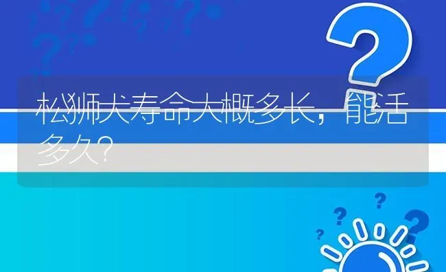 松狮犬寿命大概多长，能活多久？ | 动物养殖问答