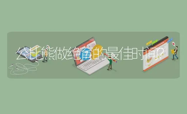 公比熊做绝育的最佳时间？ | 动物养殖问答