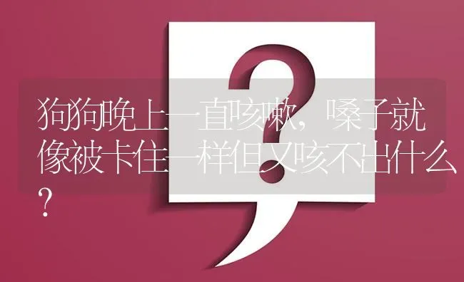 狗狗晚上一直咳嗽，嗓子就像被卡住一样但又咳不出什么？ | 动物养殖问答