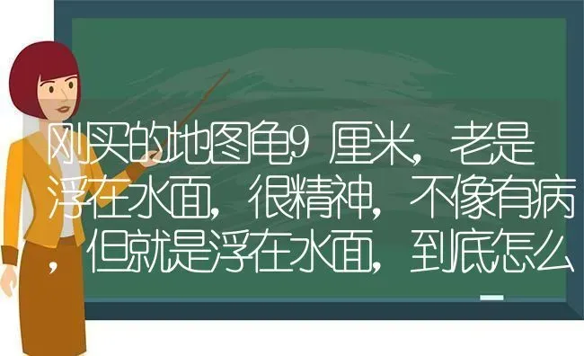 刚买的地图龟9厘米，老是浮在水面，很精神，不像有病，但就是浮在水面，到底怎么回事？ | 动物养殖问答