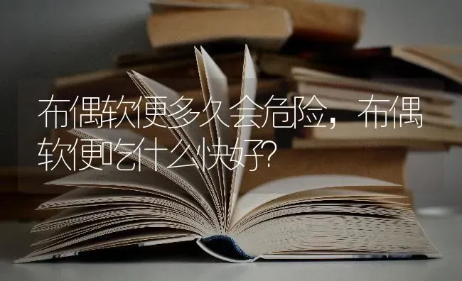 布偶软便多久会危险，布偶软便吃什么快好？ | 动物养殖问答