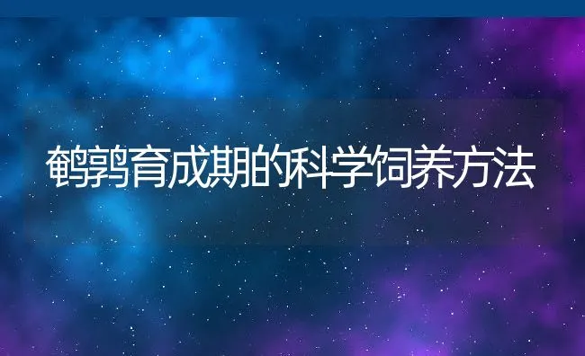 鹌鹑育成期的科学饲养方法 | 动物养殖学堂