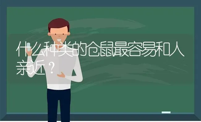 什么种类的仓鼠最容易和人亲近？ | 动物养殖问答