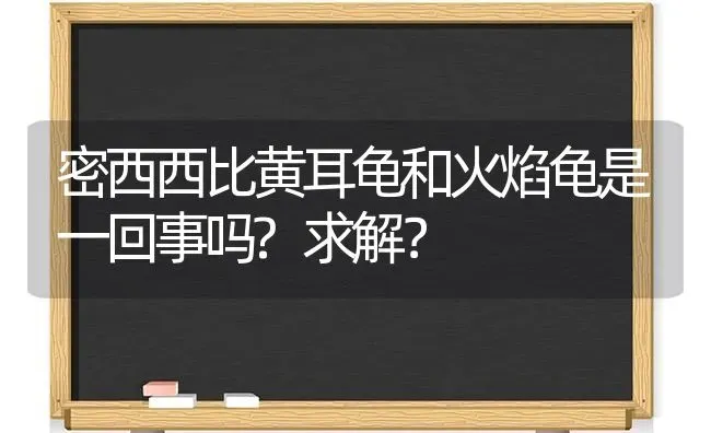 密西西比黄耳龟和火焰龟是一回事吗?求解？ | 动物养殖问答