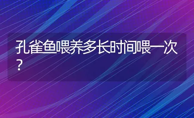 孔雀鱼喂养多长时间喂一次？ | 鱼类宠物饲养