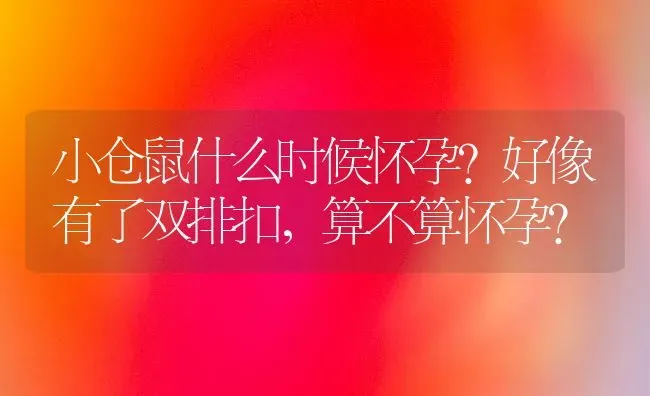 小仓鼠什么时候怀孕?好像有了双排扣，算不算怀孕？ | 动物养殖问答