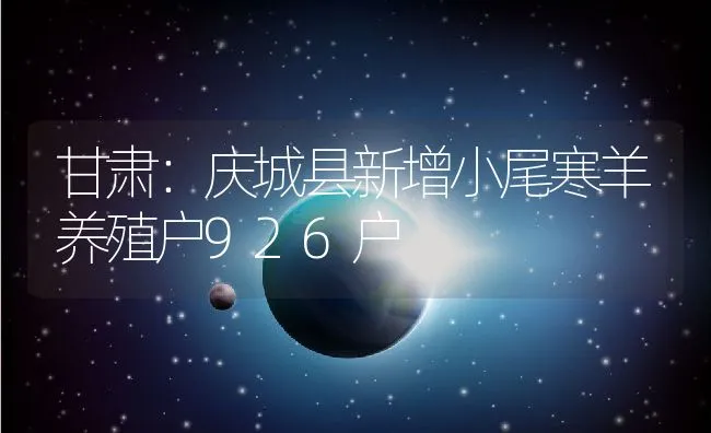 甘肃：庆城县新增小尾寒羊养殖户926户 | 动物养殖饲料