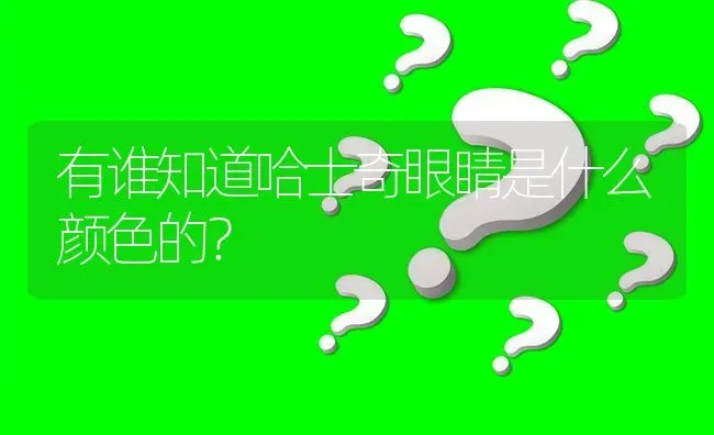 有谁知道哈士奇眼睛是什么颜色的？ | 动物养殖问答