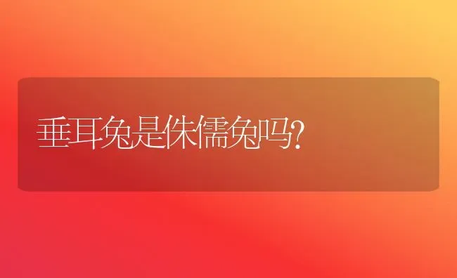 垂耳兔是侏儒兔吗？ | 动物养殖问答