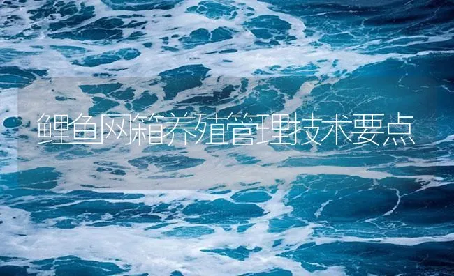 鲤鱼网箱养殖管理技术要点 | 海水养殖技术